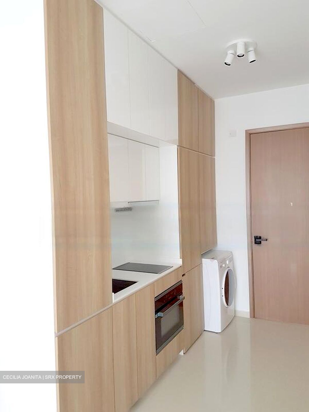 Spottiswoode Suites (D2), Apartment #460668201